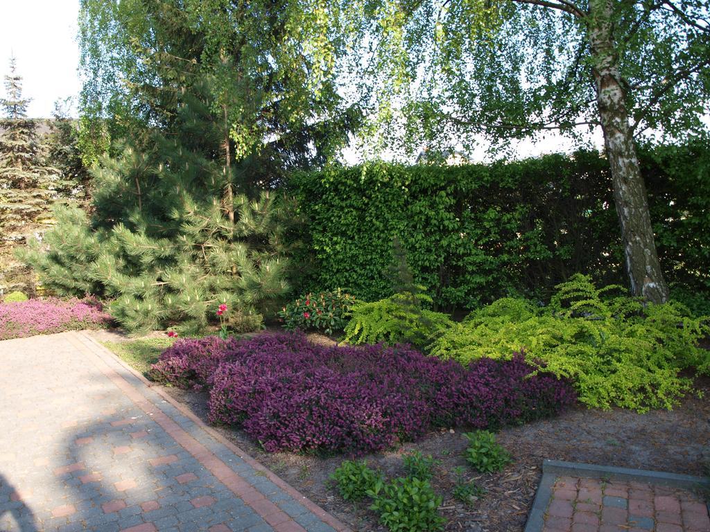 Apartamento Pokoje U Beaty Władysławowo Exterior foto